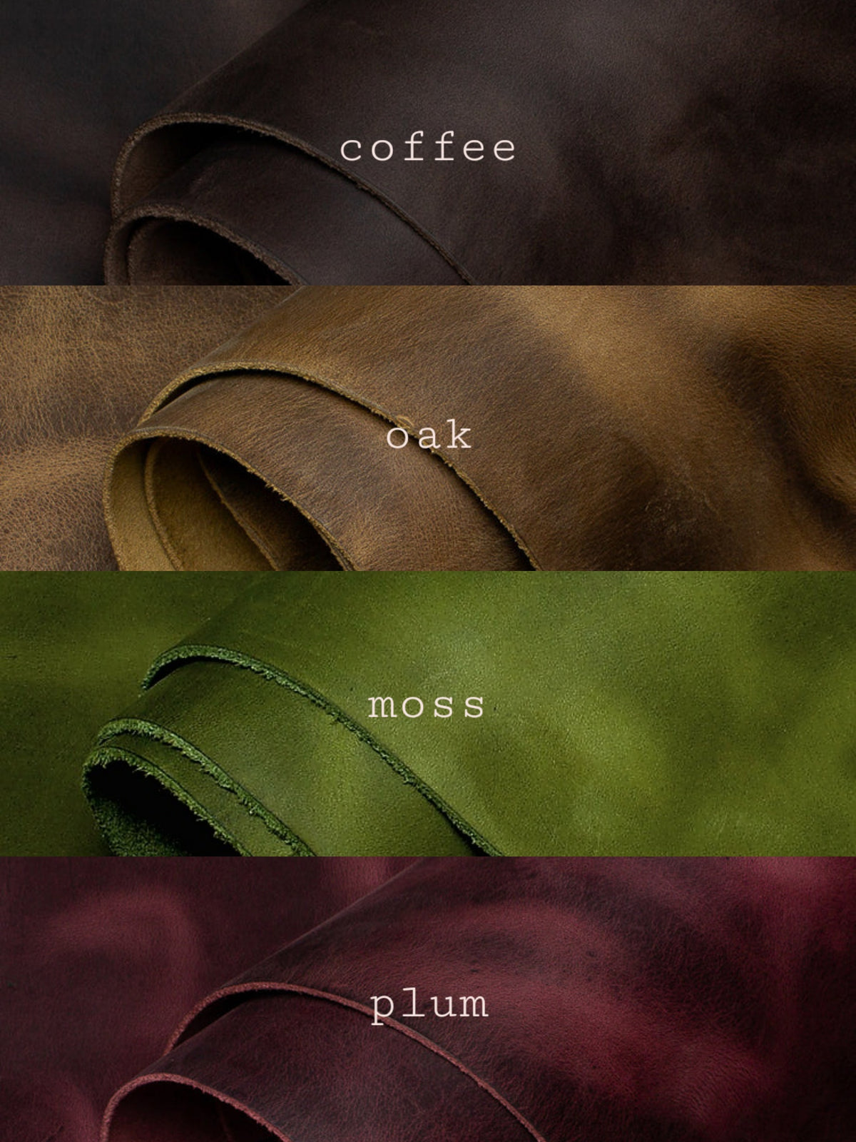 Fold Wallet - Signature Colours